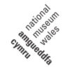 Amgueddfa Cymru - National Museum Wales