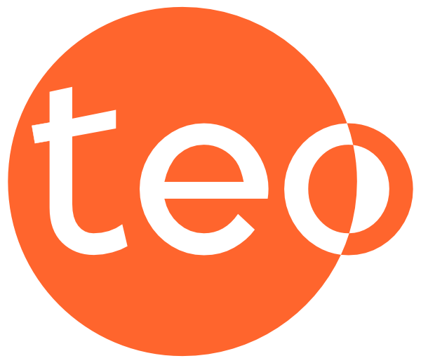 Teo logo