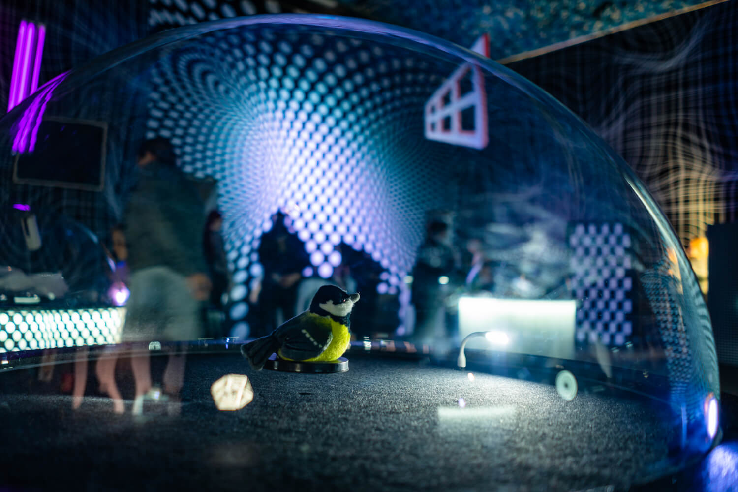 Aha, illusions! - Teo, All about touring exhibitions