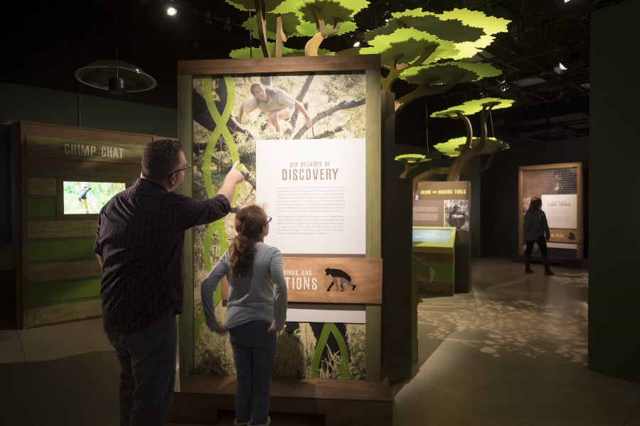 Becoming Jane exhibit at the National Geographic HQ in Washington, DC. November 2019. Photo by Rebecca Hale, National Geographic