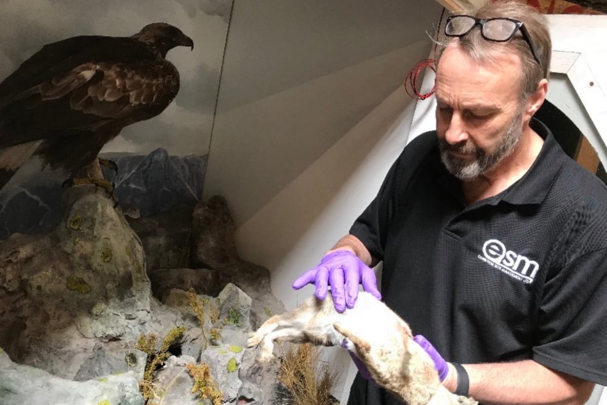 teo_article_how-to-successfully-plan-installations-for-international-touring-exhibitions_2 Lake District National Park Authority