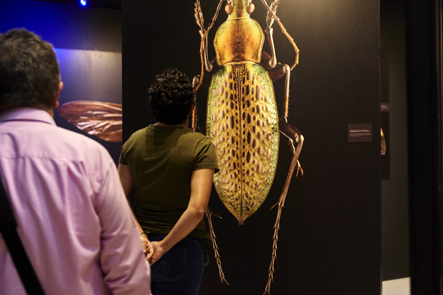 teo_article_microsculpture-case-study_1 © Parque Arauco – Colombia Division