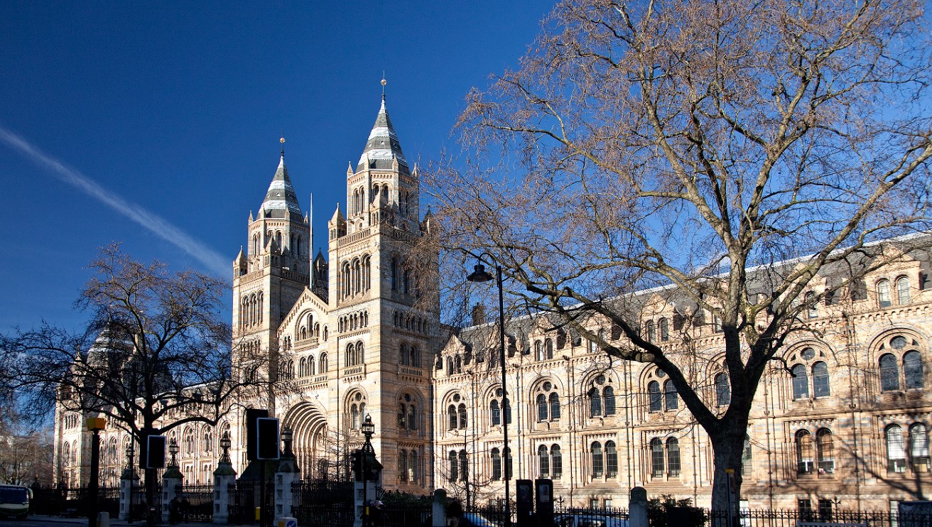 © The Trustees of the Natural History Museum, London
