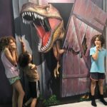 3D Doubt Your Eyes - World Touring Exhibitions