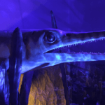 Monsters Of The Sea - World Touring Exhibitions