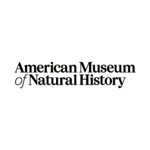 Picture of American Museum of Natural History