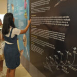 Two people in front of a scientific panel in an exhibition