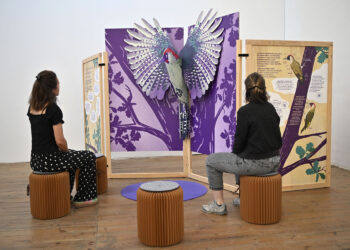 Atelier Marseille - Expo Pop up