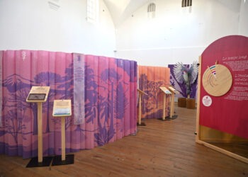 Atelier Marseille - Expo Pop up