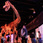 © udnFunLife Co. Ltd.