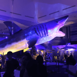 Monsters Of The Sea - World Touring Exhibitions