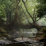 A small fisherman walks under the ancient tree root bridge at Mawlynnong village.