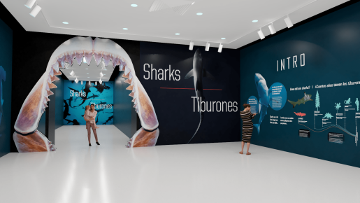 Museum gallery displaying Sharks 2D panel exhibition.