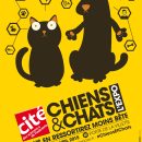 Affiche Chiens et Chats_CSI
