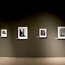 Cunningham Exhibition/ Bowers Museum/ Santa Ana