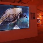 Vulture painting at the Dallas Zoo Exhibition