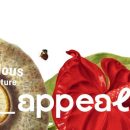 Design sans titre (3)