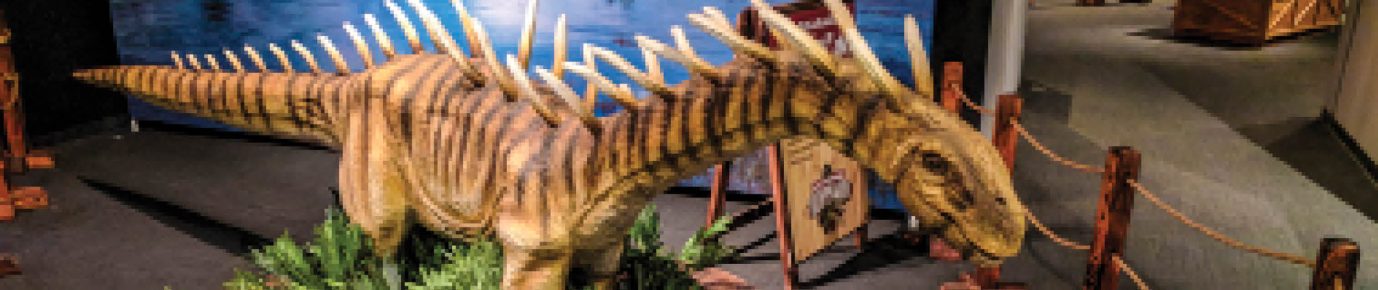 Dinosaur exhibition