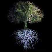 FM_Tree-of-Life-1.jpg