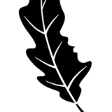 F_CT_LOGO_STACKED