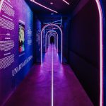 Leonardo vs Michelangelo. Surprising look and feel