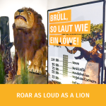 Lion and interactive game
