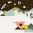 LUNE-sans-texte-1.jpg