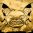Machu-Picchu-TREX-Image.jpg