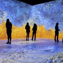 Main_Van Gogh_1