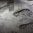 Repliques-pas-lunaires_Expositions-permanente©Manu-1.jpg