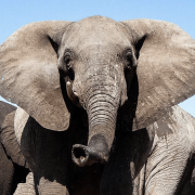 Screenshot 2023-11-14 at 11.49.46 AM