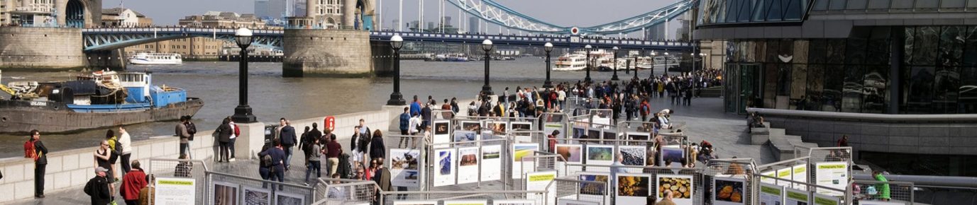 TPOTY Exhibitions