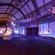 Titanosaur exhibition