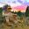 Trolls_1