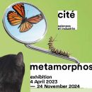 afficheMetamorphoseBG980x580_OK ENG V1_page-0001 bis