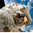 astronaut-11080_1920.jpg