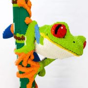 imagine-exhibitions-animal-super-powers