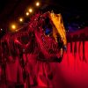 imagine-exhibitions-dinosaurs-in-motion
