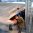 livorno_15[1]