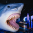 sharks-150-150